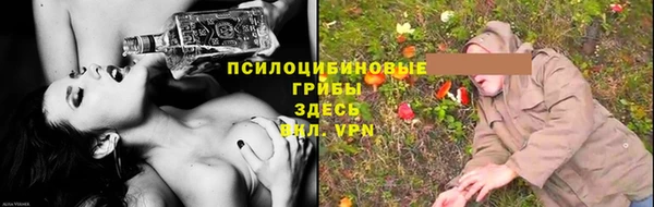 кокс Богородицк