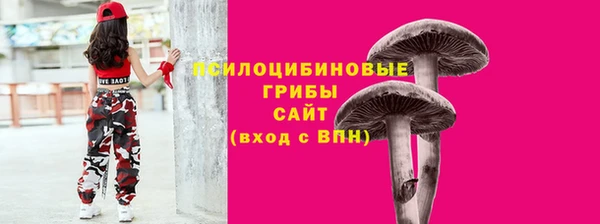 PSILOCYBIN Богородск