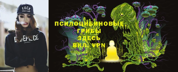 твердый Богданович
