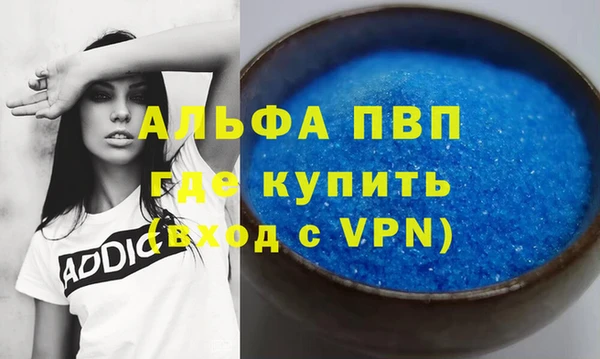 твердый Богданович