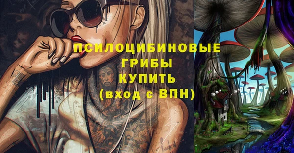 твердый Богданович