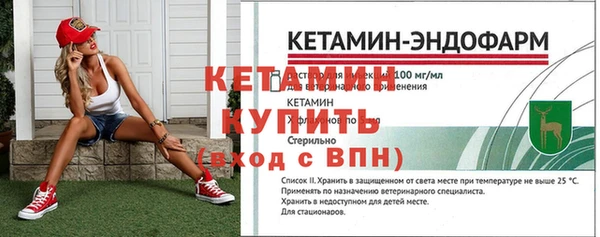 твердый Богданович
