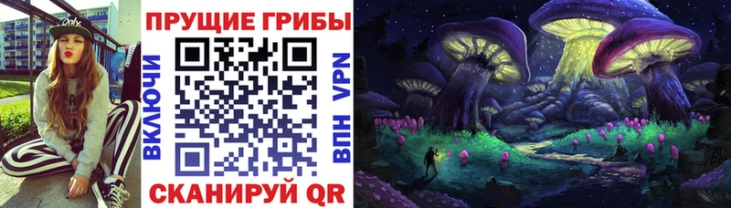 Купить  Снежинск  Галлюциногенные грибы Psilocybe 